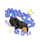 黒イヌぶんちゃんの子供達です。（個別スタンプ：5）
