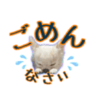 黒イヌぶんちゃんの子供達です。（個別スタンプ：9）
