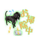 黒イヌぶんちゃんの子供達です。（個別スタンプ：21）