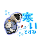 黒イヌぶんちゃんの子供達です。（個別スタンプ：23）