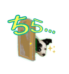 黒イヌぶんちゃんの子供達です。（個別スタンプ：28）