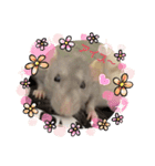 うちのこねずみ（個別スタンプ：2）