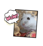 うちのこねずみ（個別スタンプ：4）