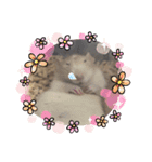 うちのこねずみ（個別スタンプ：16）