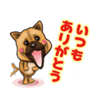 近所の犬 ワン！（個別スタンプ：1）