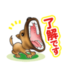 近所の犬 ワン！（個別スタンプ：4）