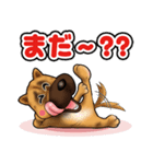 近所の犬 ワン！（個別スタンプ：7）