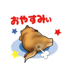 近所の犬 ワン！（個別スタンプ：10）