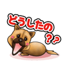 近所の犬 ワン！（個別スタンプ：11）