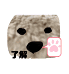 ナラファミリー16（個別スタンプ：1）