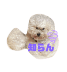 ナラファミリー16（個別スタンプ：3）