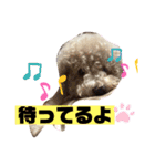 ナラファミリー16（個別スタンプ：6）