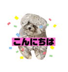 ナラファミリー16（個別スタンプ：7）