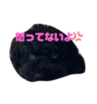 ナラファミリー16（個別スタンプ：9）