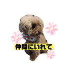 ナラファミリー16（個別スタンプ：10）