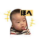 ナラファミリー16（個別スタンプ：13）