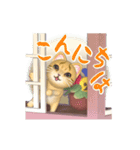出窓の猫【動く3D】（個別スタンプ：7）
