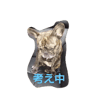 フレンチブルドッグの心（個別スタンプ：3）