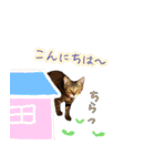 ねころぶ...わんこも一緒に（個別スタンプ：1）