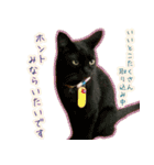ねころぶ...わんこも一緒に（個別スタンプ：2）