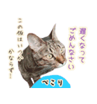 ねころぶ...わんこも一緒に（個別スタンプ：10）