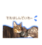 ねころぶ...わんこも一緒に（個別スタンプ：11）