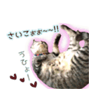 ねころぶ...わんこも一緒に（個別スタンプ：15）