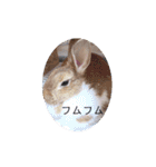 my family♡じゅんちゅわ♡（個別スタンプ：14）