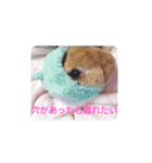 my family♡じゅんちゅわ♡（個別スタンプ：16）