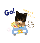 にゃんむ天皇＆たがう姫 ver2（個別スタンプ：8）