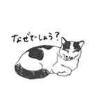 ねこのジジ（個別スタンプ：13）