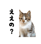 かうすとぼたん（個別スタンプ：5）