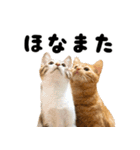 かうすとぼたん（個別スタンプ：13）