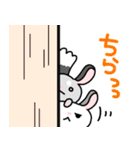 毎日使える！チンチラのゆるいスタンプ動物（個別スタンプ：26）