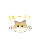 弟の友達のねこちゃん（個別スタンプ：3）