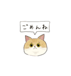 弟の友達のねこちゃん（個別スタンプ：12）