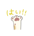 弟の友達のねこちゃん（個別スタンプ：14）