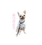 まいにちこころ。（個別スタンプ：3）