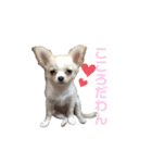 まいにちこころ。（個別スタンプ：5）