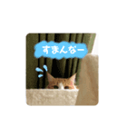 なーさんの毎日（個別スタンプ：8）