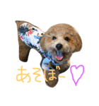 といたろん（個別スタンプ：1）