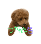 といたろん（個別スタンプ：3）