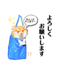 Diegoくんの日常（個別スタンプ：7）