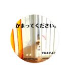 Diegoくんの日常（個別スタンプ：16）