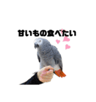鳥さんたちのご挨拶 その2（個別スタンプ：27）
