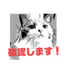 使いやすい猫のスタンプです。（個別スタンプ：4）
