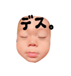 ゆじゅきちの日常❸（個別スタンプ：1）