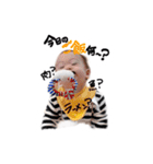 ゆじゅきちの日常❸（個別スタンプ：36）