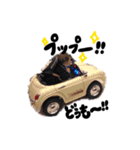 ゆじゅきちの日常❸（個別スタンプ：40）