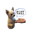 チワワのリンくん2（個別スタンプ：1）